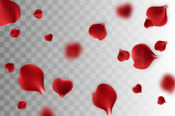 Download Falling Rose Petals on Transparent Back - Fall Collection