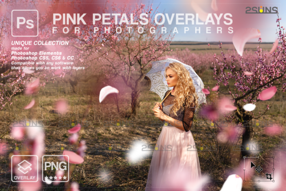 Download Falling Pink Petals&nbsp; - Fall Collection
